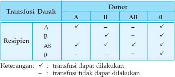 Pasien yang bergolongan darah A dapat diberikan transfusi
