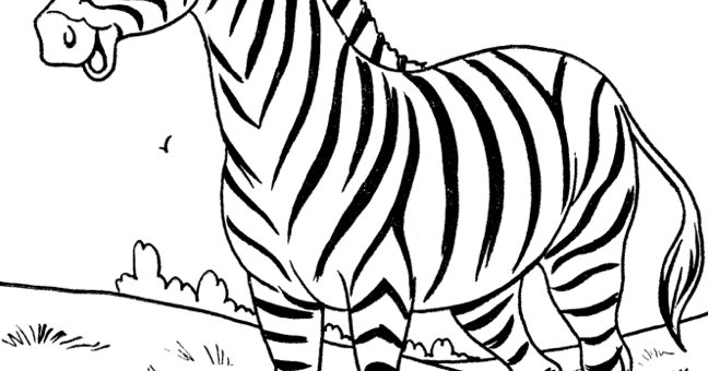 Gambar Mewarnai Zebra Untuk Anak Paud Dan Tk