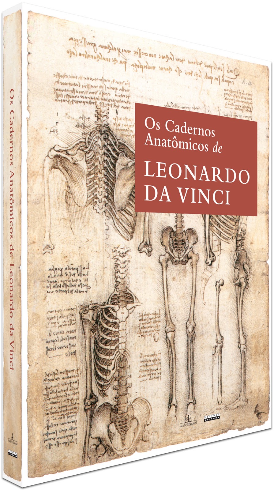 Bibliomania Sobre Livros Os Traços de Da Vinci