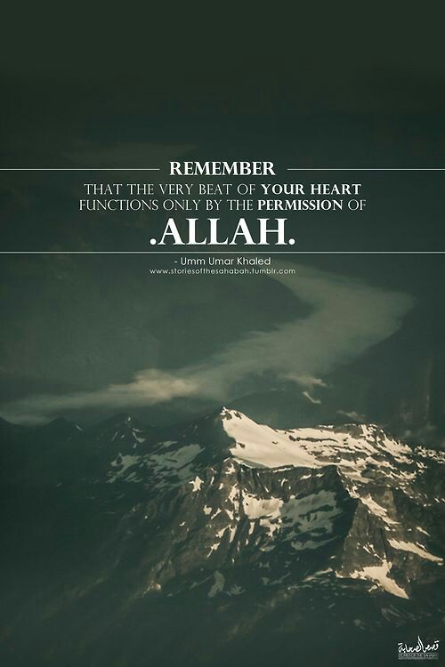 Wama Indallahi Khoir ) Islamic Quotes part 1