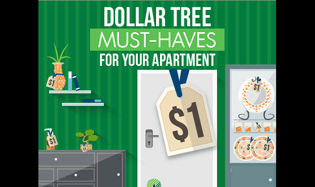 Dollar Tree Must-Haves for Your Apartment