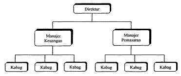 bentuk bagan struktur organisasi \u0026 kelebihan dan kekurangannya Bagan Arus gambar struktur organisasi lini