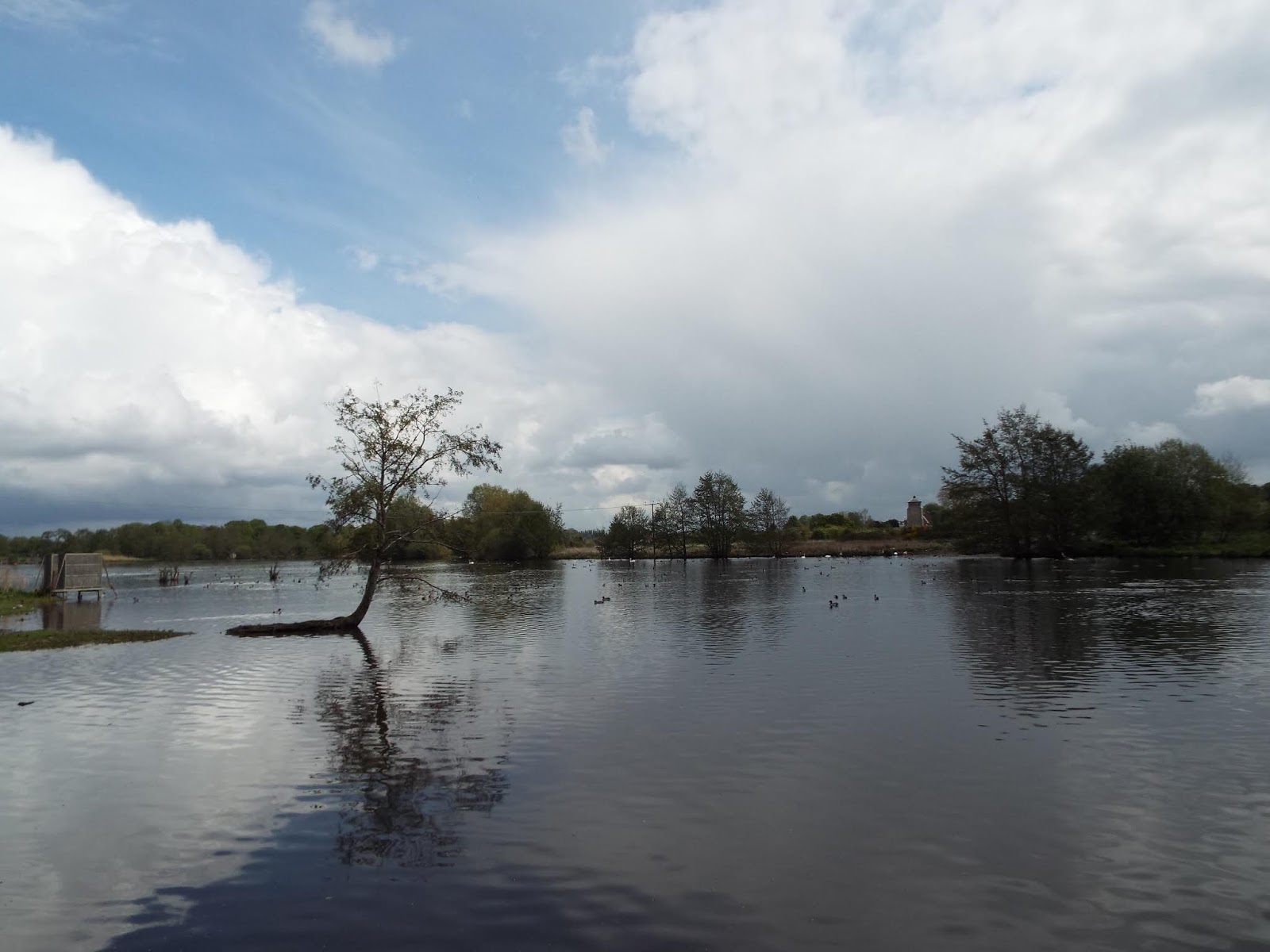 Reinterred Fornham St. Genevieve Walk