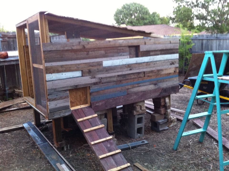... souls out there who are ready to do their own DIY chicken coop