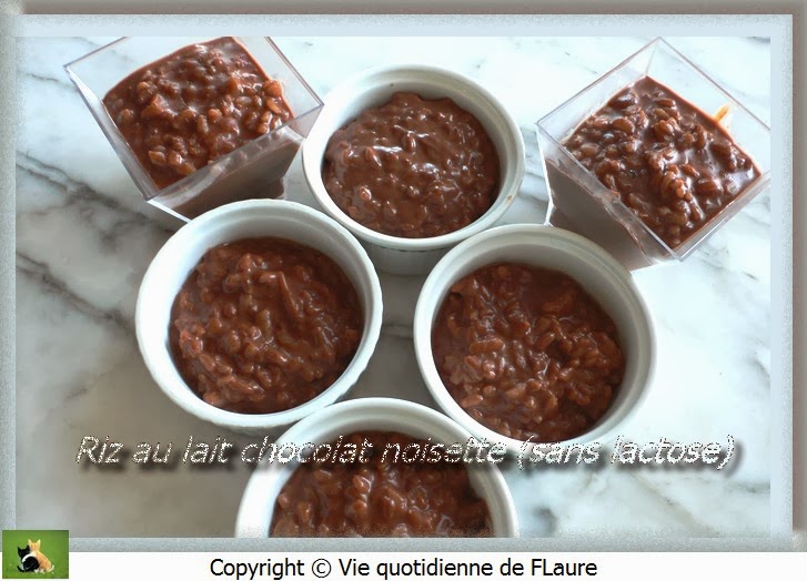 Vie quotidienne de FLaure: Riz au lait chocolat noisette (sans lactose)