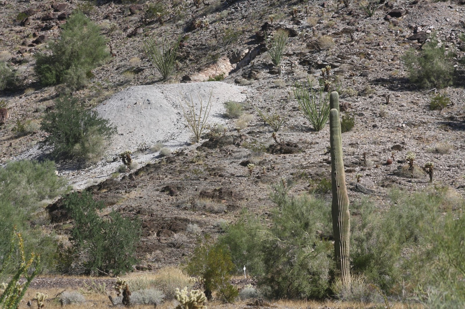 JBS Fishtales Mileposts Quartzsite Gold Mining History
