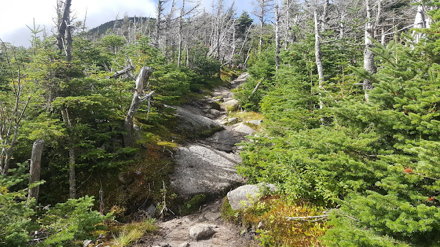 Vue à partir du sentier pour les monts Kinsman et Cannon