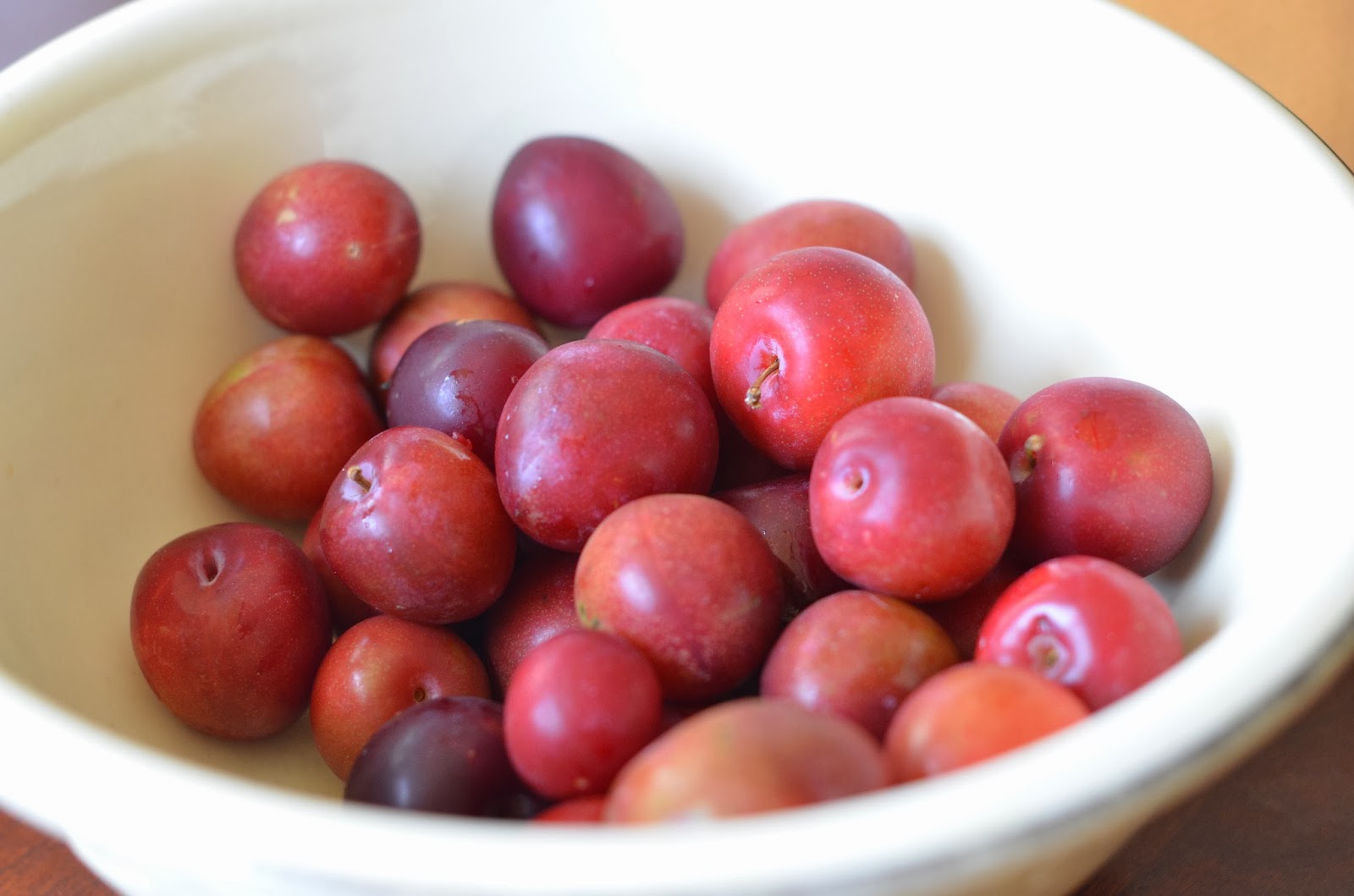 Our Yuppie Life January 2014