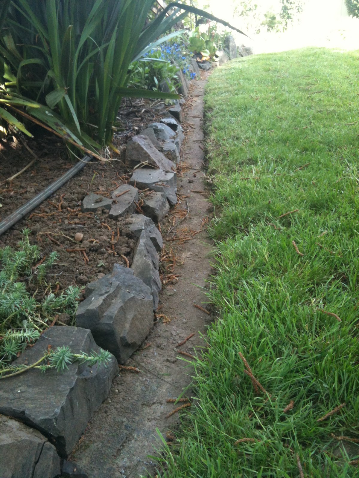 In The Garden with Claire 3tab shingles in the garden!!!