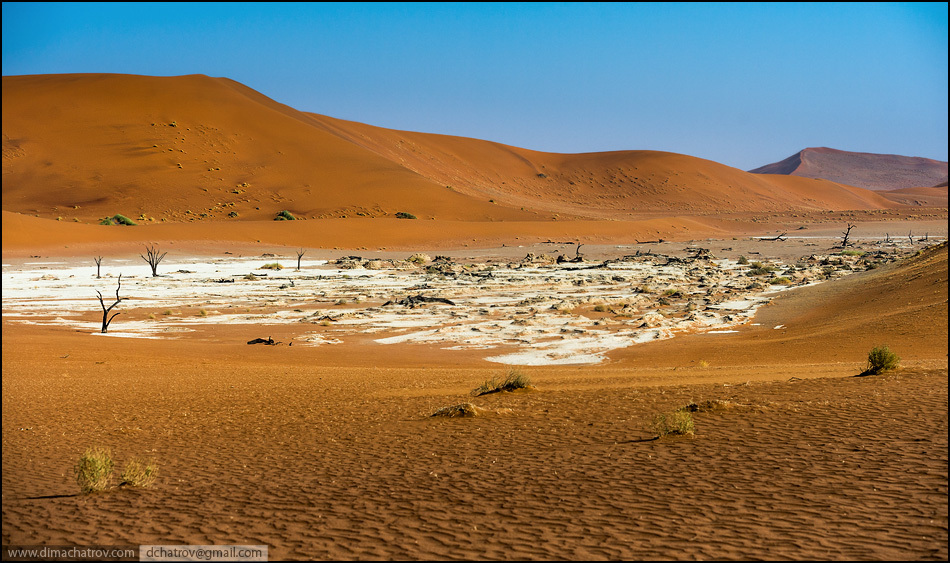 Заболоченная пустыня. Болота в пустынях. Болота в пустынях. Водно болотные угодья америки. Дельта окаванго ботсвана.