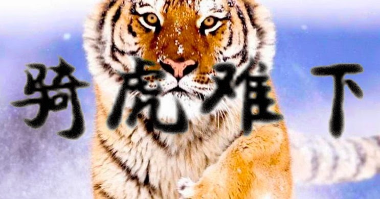 Tiger ty