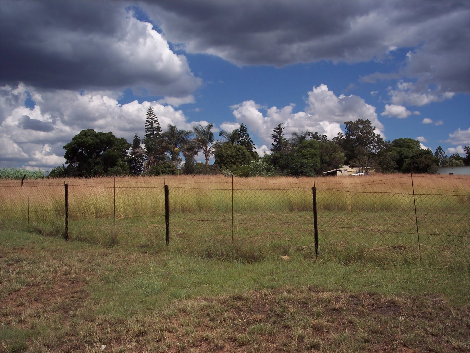 Mike Kidson Zandspruit Farm / Plot for Sale 4.3Ha