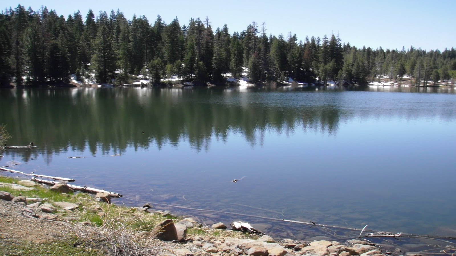 Sawmill Lake Fly Fishing 2015 June 2011
