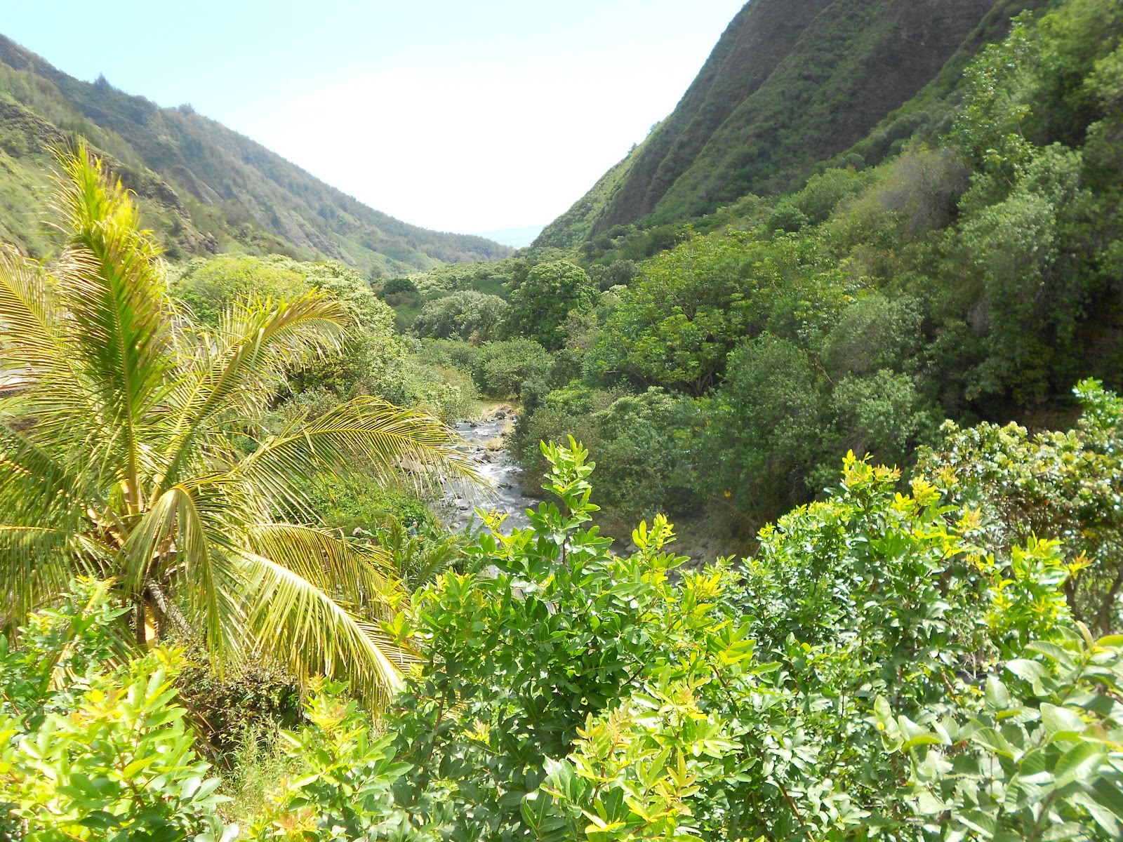 On an island in the sun. Iao Valley