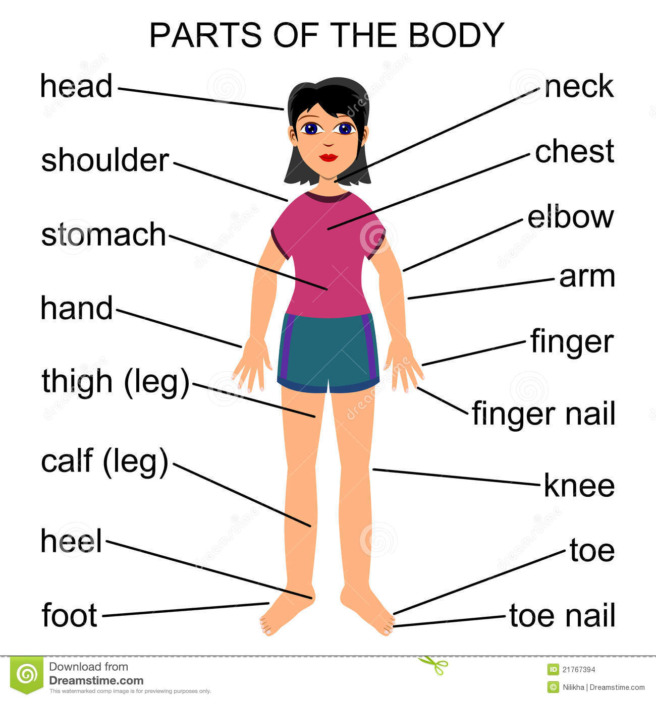 body part