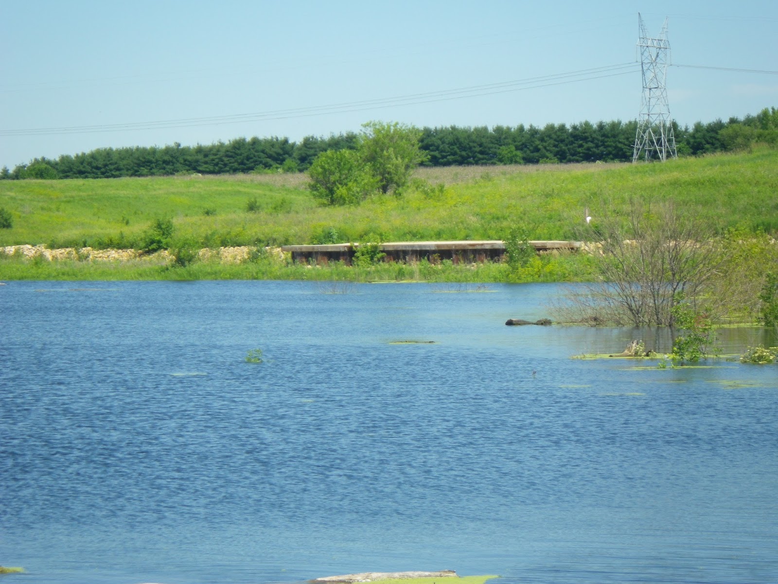 The Lost Grove Lake Mapping Project