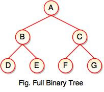 Types of Binary Tree in Data Structure