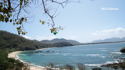 Pantai Papuma, Salah Satu Pantai Terindah di Pulau Jawa