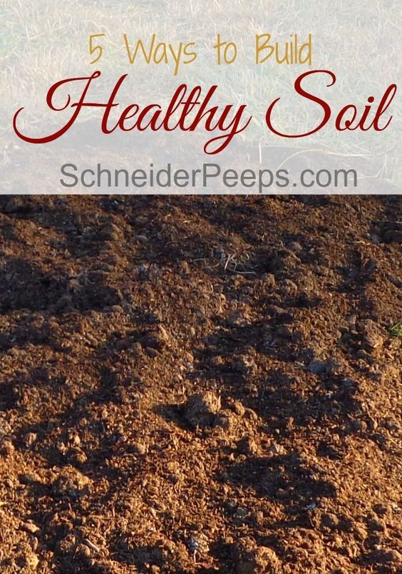G 4 Gardening 5 Awesome Ways To Build Healthy Soil