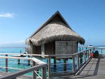 El paraiso si existe y esta en la Polinesia - El paraiso si existe y esta en la Polinesia (7)