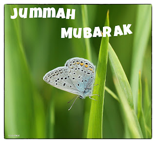 jummah messages