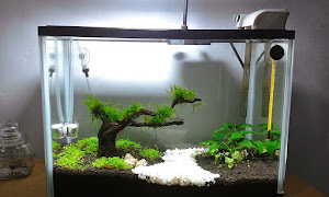 Daftar 8 Alat Penjernih Air Terbaik Untuk Aquarium Reva Pedia