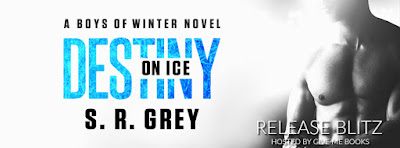 Destiny on Ice by S.R. Grey Release Blitz + Giveaway