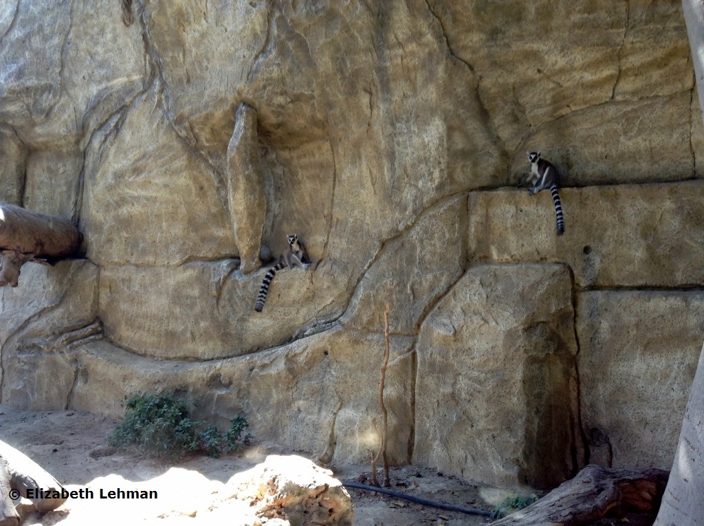 Exploring Cyprus Limassol Zoo
