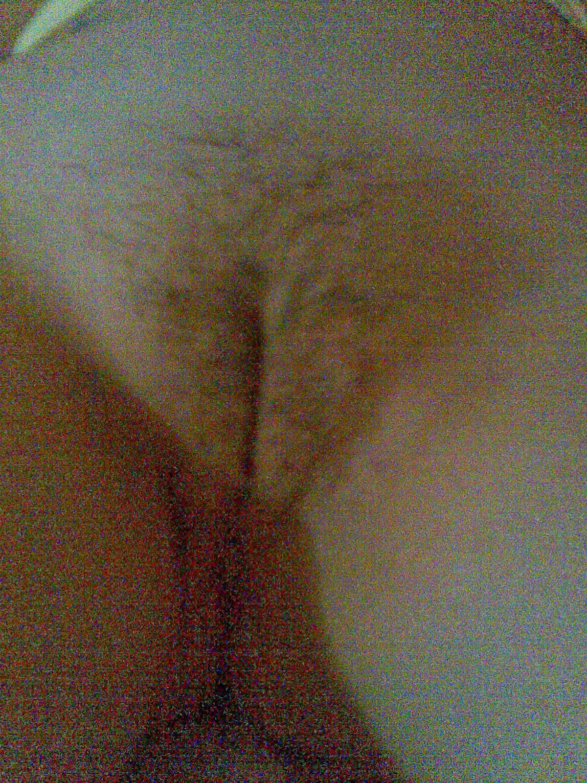 Maui Taylor Pussy - Maui Taylor Wiki Nude Photo - PHOTO PORNO. 