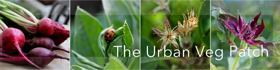 The Urban Veg Patch