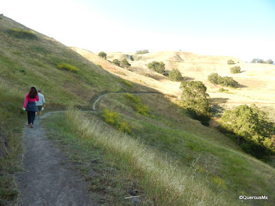 Caminatas vespertinas en  Sierra Vista Open Space