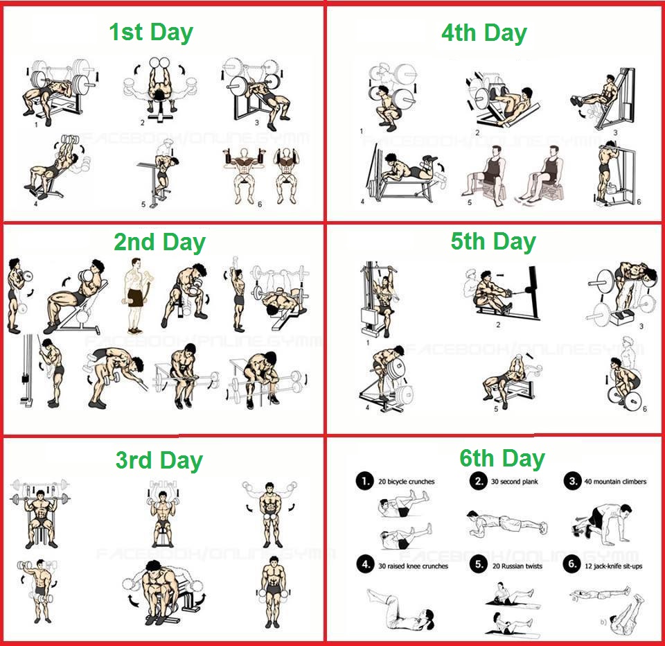 30 Minute Muscle Gain Workout Plan For Beginners Pdf for Weight Loss