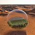 Marte torna-se realidade: Quatro culturas comestíveis foram encontradas quando cultivadas em simulação de solo de Marciano 