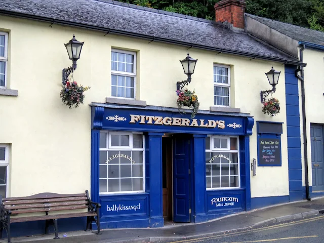 Wicklow Mountains Tour - Fitzgerald's Pub in Avoca Village