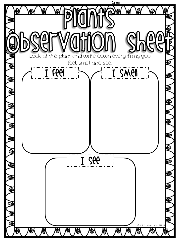 plant-observations-all-students-can-shine