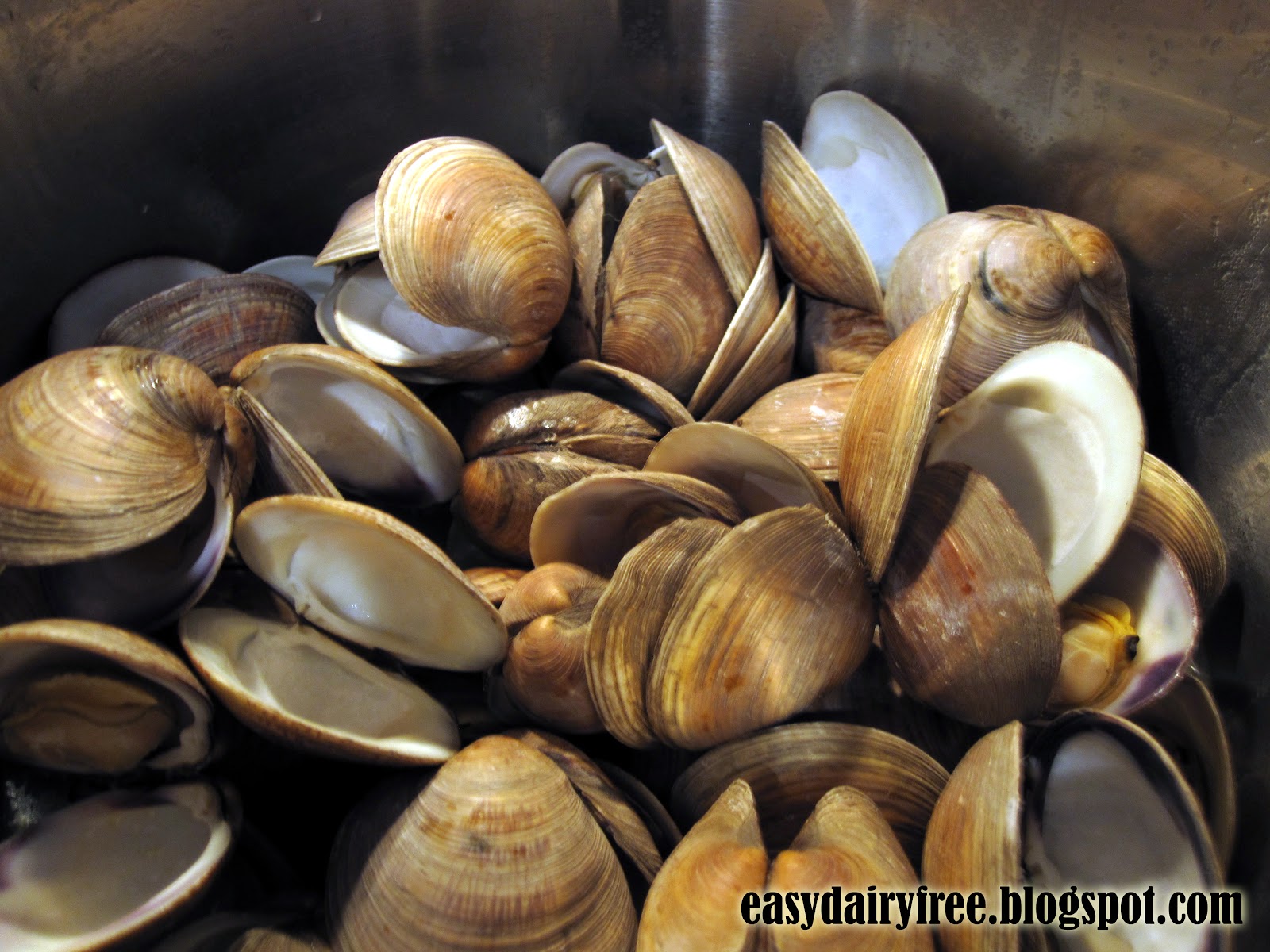 Easy Dairy Free Steamed Littleneck Clams