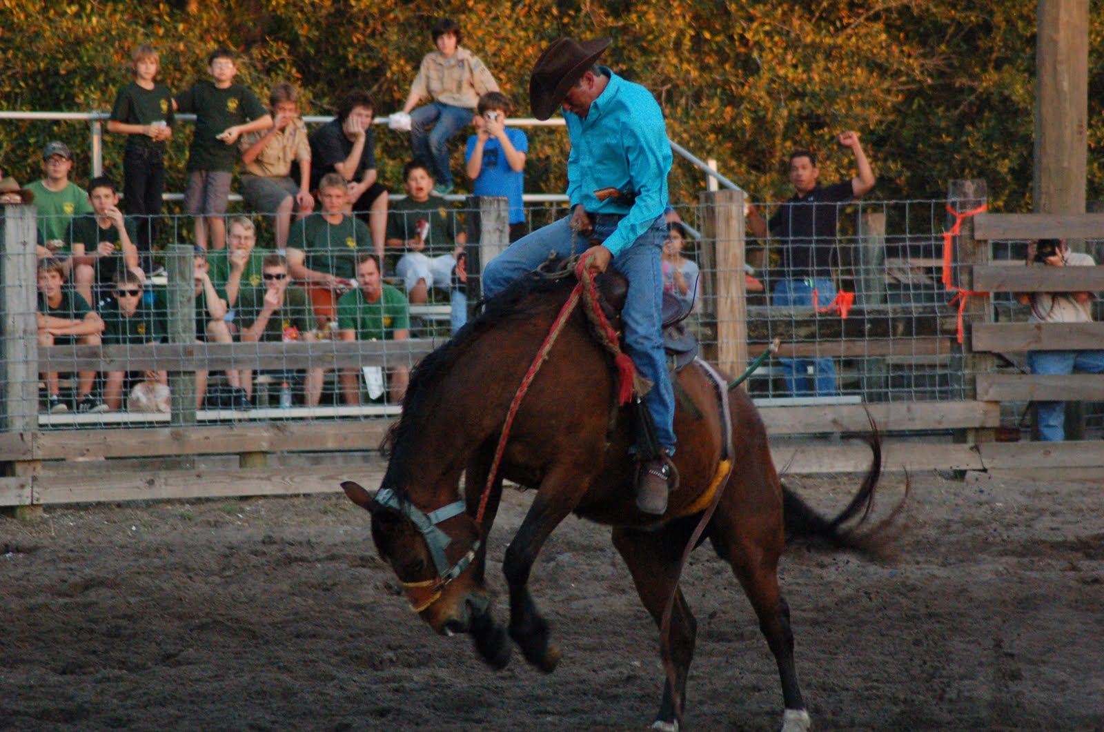 Alice's Wonderland Deseret Ranch Rodeo