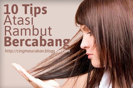 Sampo Apa Yang Di Gunakan Agar Rambut Cepat Panjang : 17 Trik Sederhana