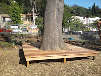 Bancos de madera alrededor de árboles