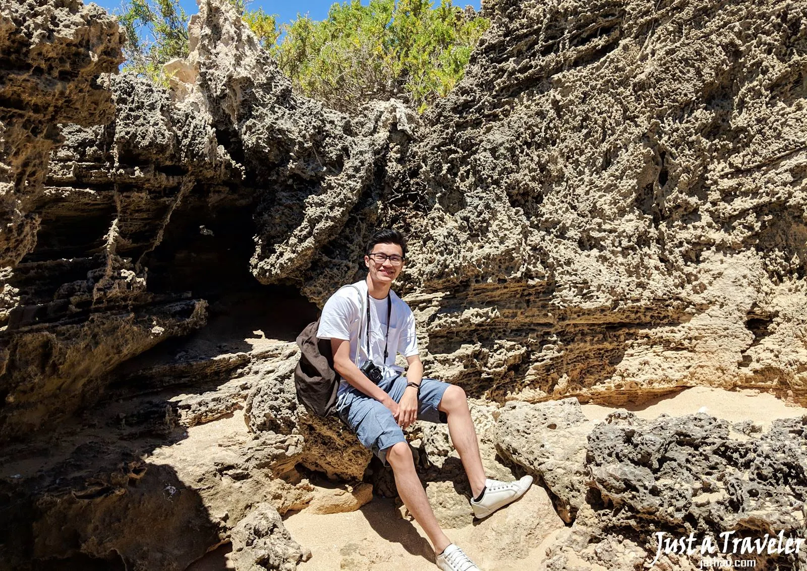 伯斯-景點-推薦-必玩-一日遊-企鵝島-Penguin-Island-遊記-旅遊-自由行-Perth