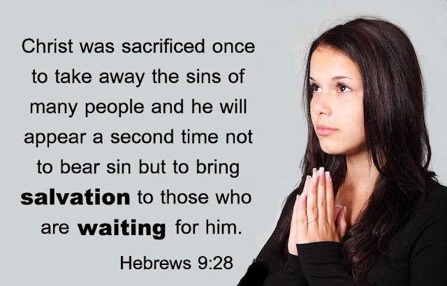 Hebrews 9 : 28 Salvation Wallpaper