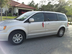 minivan funny drive