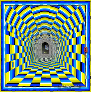 Optical Illusions