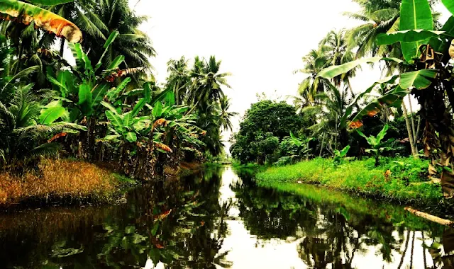 Suasana Pagi Pantai Kelapa Warna Lebak yang Segar dan Menenangkan