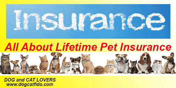 Discover ,,,All About Lifetime Pet Insurance