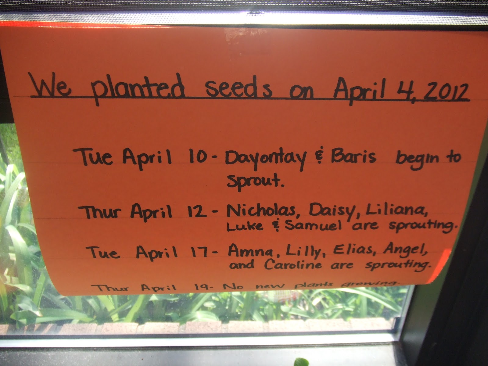 Cachey Mama's World of Learning: 10 Plant Activities for Preschool