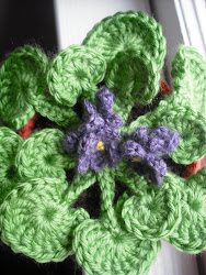 african flower violet pot series perfect inspired crochet pun intended growing whole own check