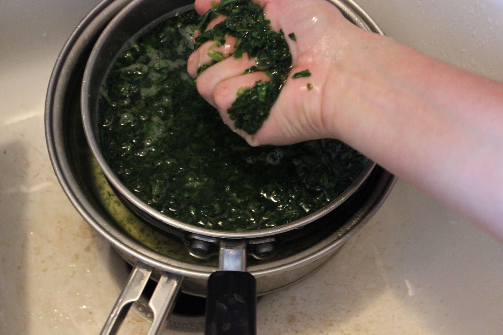 The Schuyler Family Josh, Sarah and the Kids Spinach Cheese Bake and How to Thaw Spinach FAST