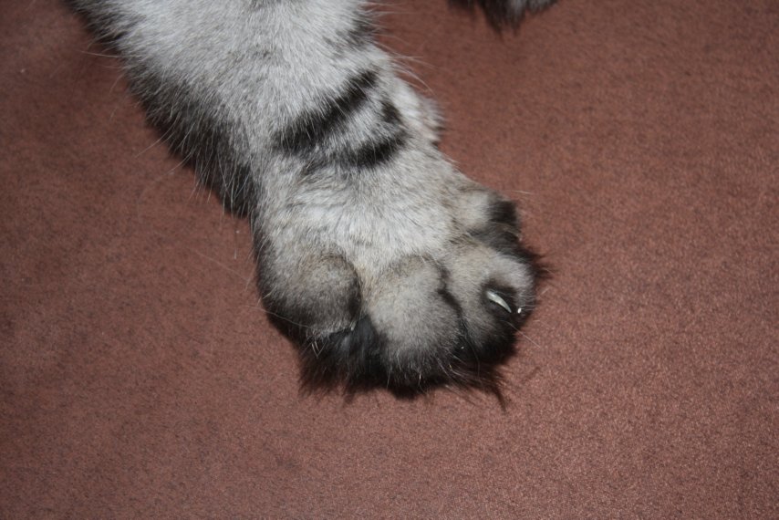 dies´und das und süsse Sachen&hellip; April 2011