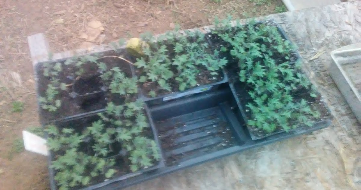 How does a small farm make growing economical?